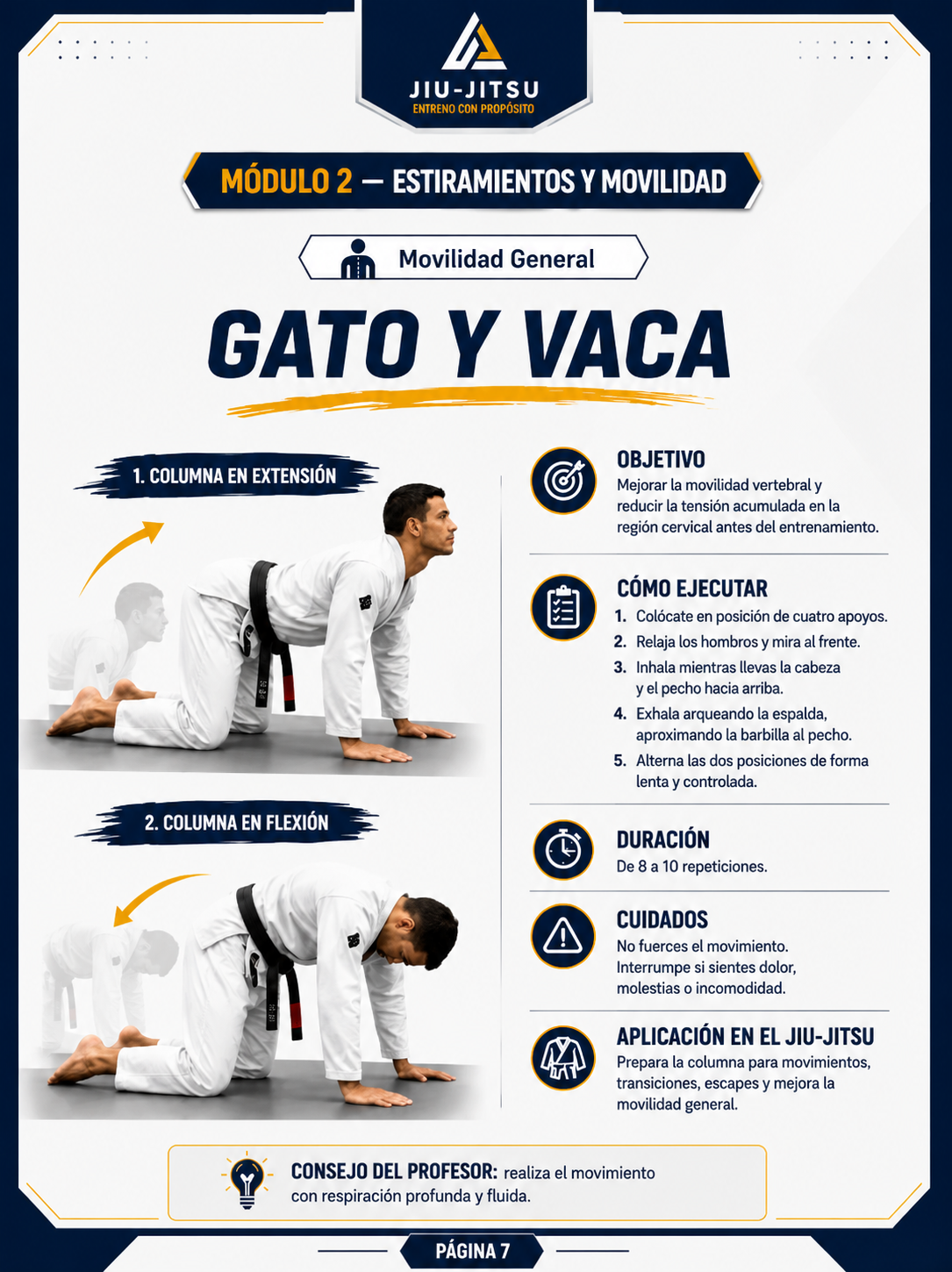 Página 2 del contenido