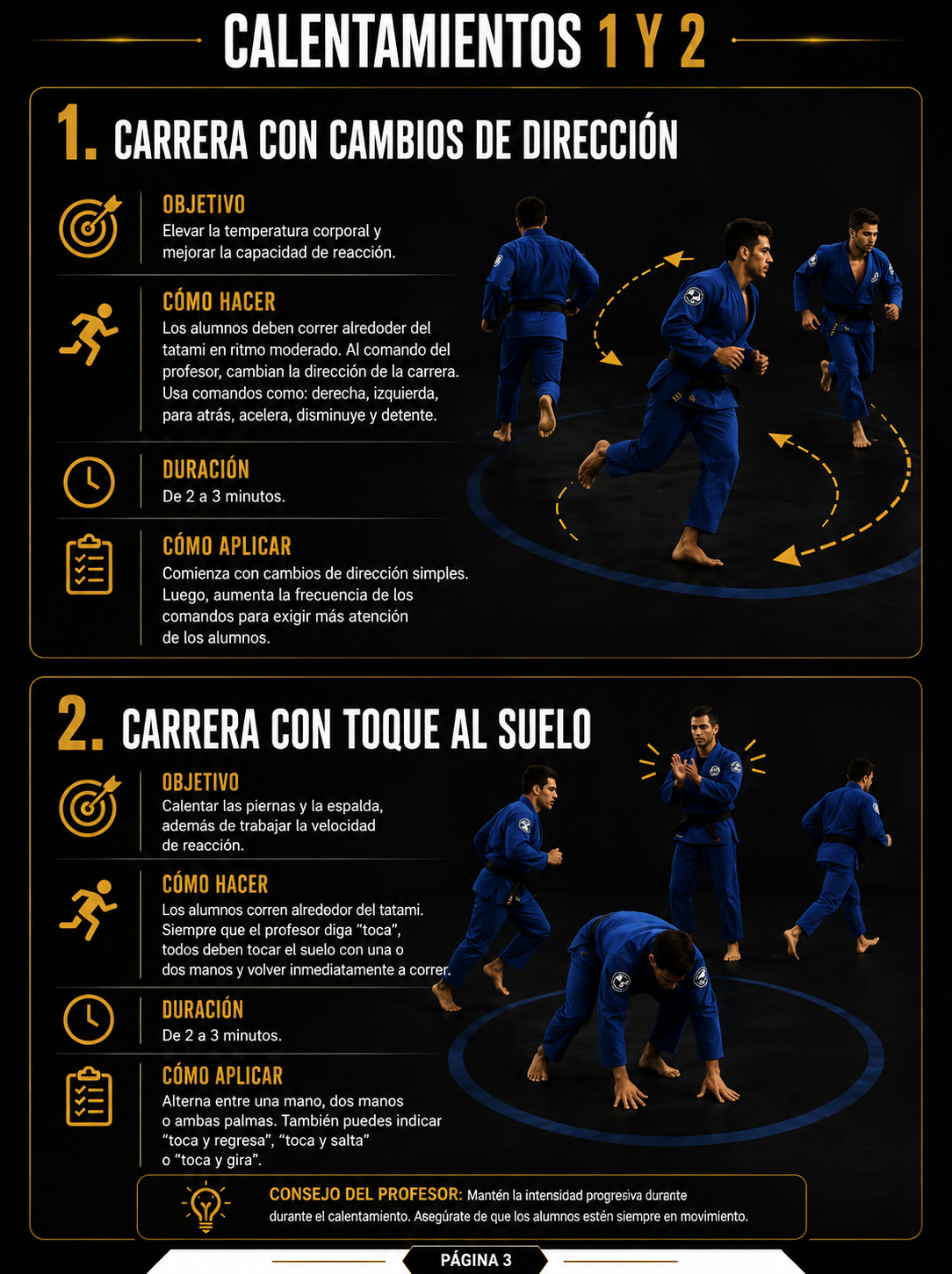 Página 3 del contenido