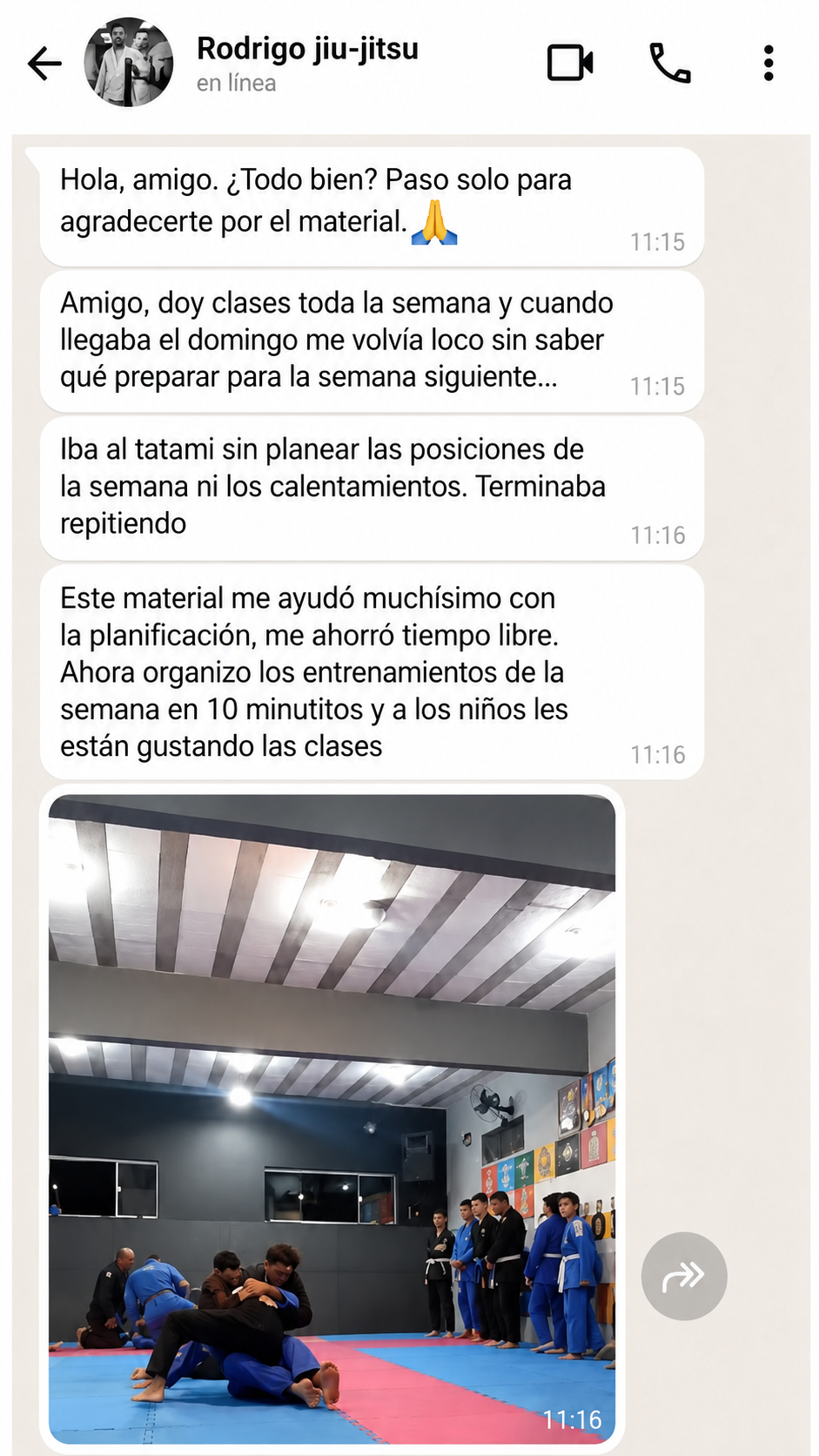 Opinión de un profesor de Jiu-Jitsu 2