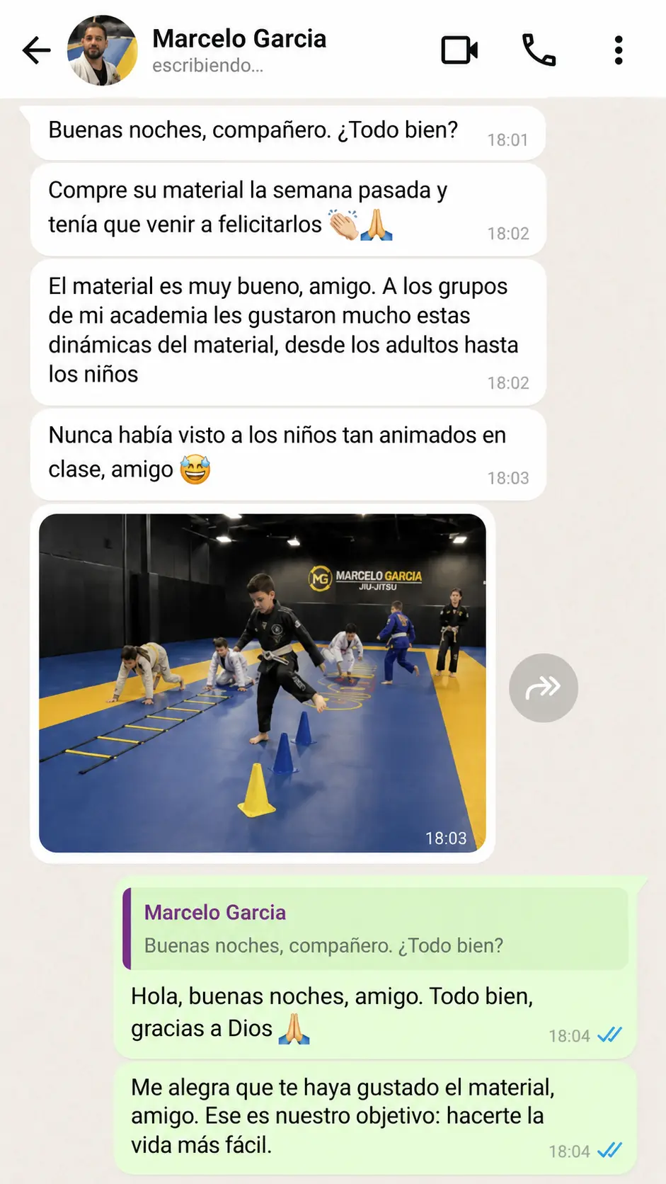 Opinión de un profesor de Jiu-Jitsu 5